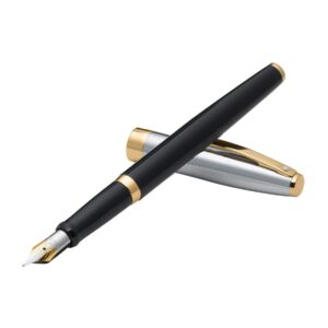 Sheaffer Sagaris Black Chrome Gold Trim Fountain Pen