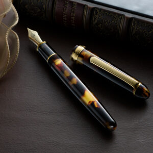 Platinum #3776 Celluloid  Tortoise Fountain Pen 14K